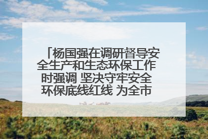 杨国强在调研督导安全生产和生态环保工作时强调 坚决守牢安全环保底线红线 为全市经济社会高质量发展提供坚强保障