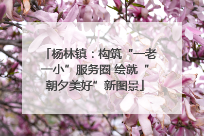 杨林镇：构筑“一老一小”服务圈 绘就“朝夕美好”新图景