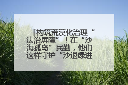 构筑荒漠化治理“法治屏障”！在“沙海孤岛”民勤，他们这样守护“沙退绿进”的生态奇迹