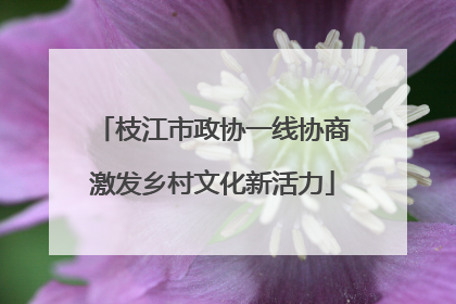 枝江市政协一线协商激发乡村文化新活力