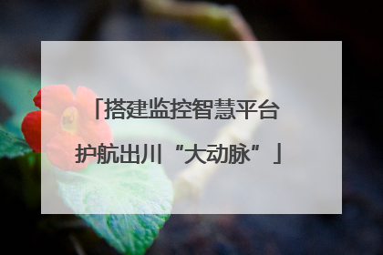 搭建监控智慧平台 护航出川“大动脉”