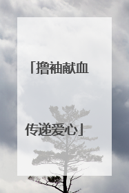 撸袖献血 传递爱心