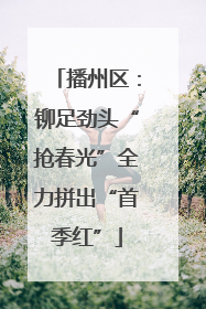 播州区：铆足劲头“抢春光”全力拼出“首季红”