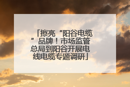 擦亮“阳谷电缆”品牌！市场监管总局到阳谷开展电线电缆专题调研