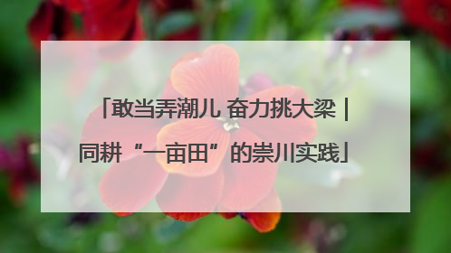 敢当弄潮儿 奋力挑大梁｜同耕“一亩田”的崇川实践