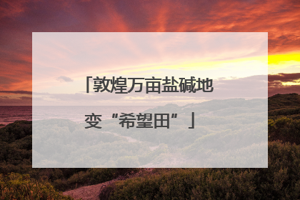 敦煌万亩盐碱地变“希望田”