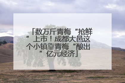 数万斤青梅“抢鲜”上市！成都大邑这个小镇靠青梅“酿出”亿元经济