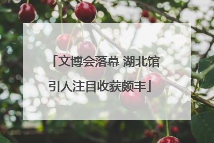 文博会落幕 湖北馆引人注目收获颇丰