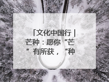 文化中国行｜芒种：愿你“芒”有所获，“种”有所得