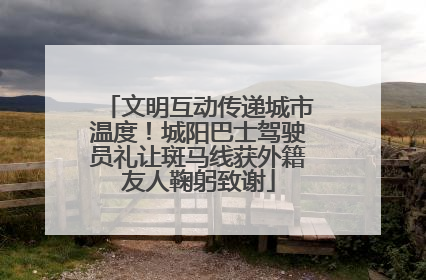 文明互动传递城市温度！城阳巴士驾驶员礼让斑马线获外籍友人鞠躬致谢