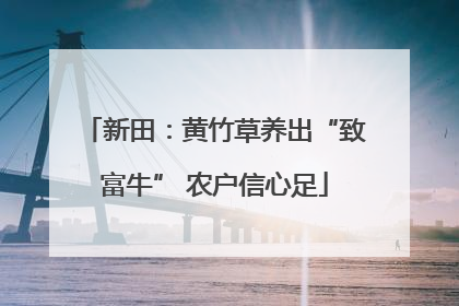新田：黄竹草养出“致富牛” 农户信心足