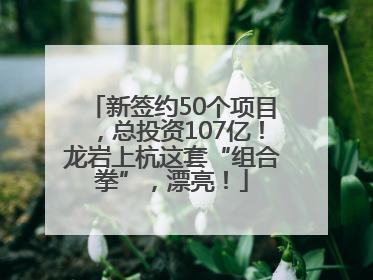 新签约50个项目，总投资107亿！龙岩上杭这套“组合拳”，漂亮！