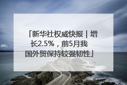 新华社权威快报｜增长2.5%，前5月我国外贸保持较强韧性