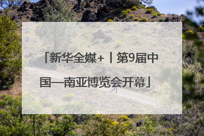 新华全媒+丨第9届中国—南亚博览会开幕