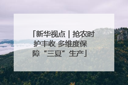 新华视点｜抢农时 护丰收 多维度保障“三夏”生产
