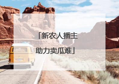 新农人播主 助力卖瓜难
