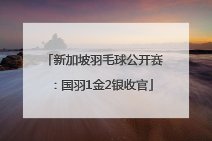 新加坡羽毛球公开赛：国羽1金2银收官