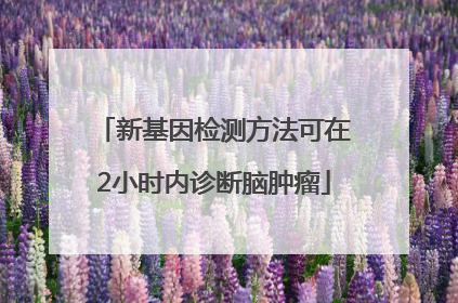 新基因检测方法可在2小时内诊断脑肿瘤