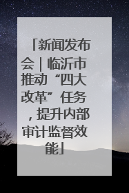 新闻发布会｜临沂市推动“四大改革”任务，提升内部审计监督效能