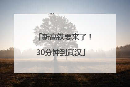 新高铁要来了！30分钟到武汉
