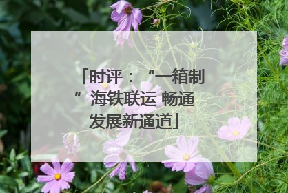 时评：“一箱制”海铁联运 畅通发展新通道