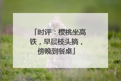 时评：樱桃坐高铁，早晨枝头摘，傍晚到餐桌