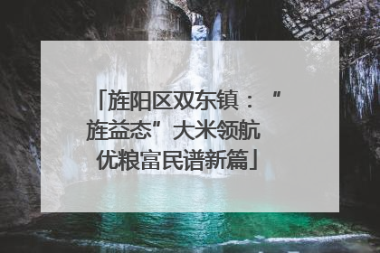 旌阳区双东镇：“旌益态”大米领航 优粮富民谱新篇
