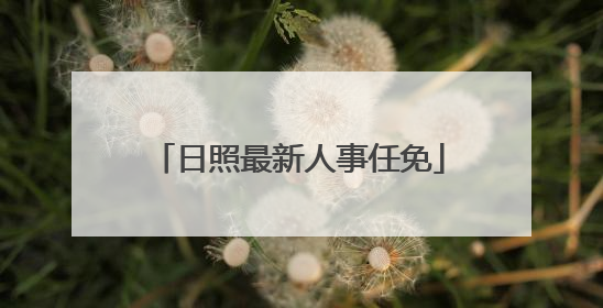 日照最新人事任免