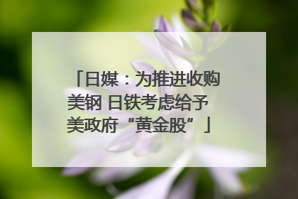 日媒：为推进收购美钢 日铁考虑给予美政府“黄金股”
