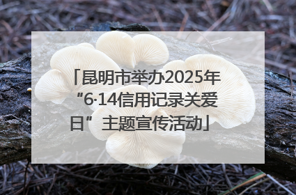 昆明市举办2025年“6·14信用记录关爱日”主题宣传活动