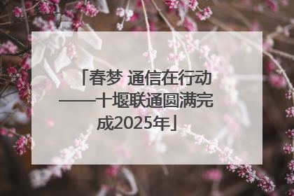 春梦 通信在行动——十堰联通圆满完成2025年