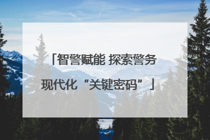 智警赋能 探索警务现代化“关键密码”