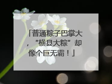 普通粽子巴掌大，“横县大粽”却像个巨无霸！