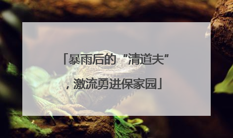 暴雨后的“清道夫”，激流勇进保家园