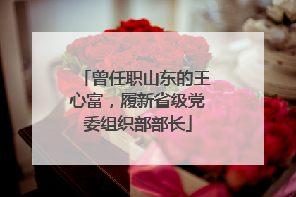 曾任职山东的王心富，履新省级党委组织部部长