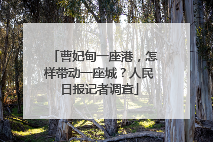 曹妃甸一座港，怎样带动一座城？人民日报记者调查