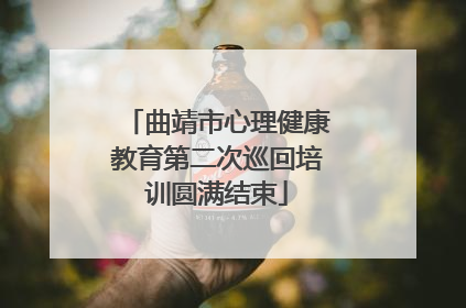 曲靖市心理健康教育第二次巡回培训圆满结束