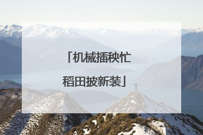 机械插秧忙 稻田披新装