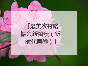 最美农村路 振兴新图景（新时代画卷）