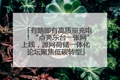有路即有高质量充电！“点亮东台一张网”上线，源网荷储一体化论坛聚焦低碳转型