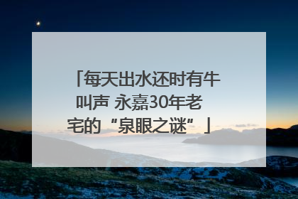 每天出水还时有牛叫声 永嘉30年老宅的“泉眼之谜”