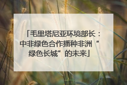 毛里塔尼亚环境部长：中非绿色合作播种非洲“绿色长城”的未来