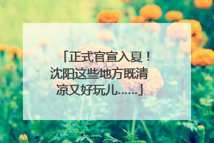 正式官宣入夏！沈阳这些地方既清凉又好玩儿……
