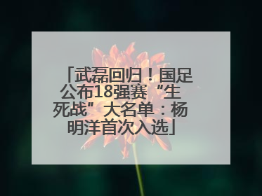 武磊回归！国足公布18强赛“生死战”大名单：杨明洋首次入选
