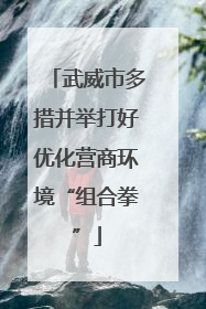 武威市多措并举打好优化营商环境“组合拳”
