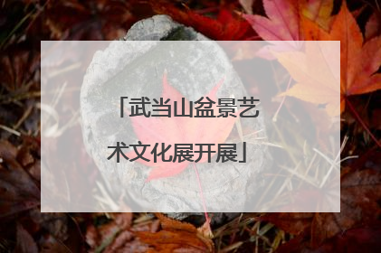 武当山盆景艺术文化展开展