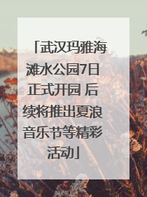武汉玛雅海滩水公园7日正式开园 后续将推出夏浪音乐节等精彩活动