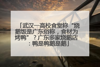 武汉一高校食堂称“烧鹅饭是广东俗称，食材为烤鸭”？广东多家烧鹅店：鸭是鸭鹅是鹅