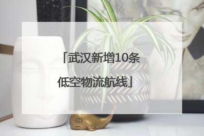 武汉新增10条低空物流航线