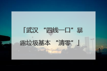 武汉 “四线一口”暴露垃圾基本 “清零”